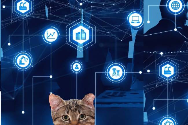 IoT(Internet of Things) Teknolojilerinin Hayvanlara Uygulanması