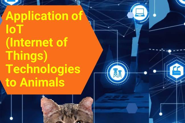 Application of IoT(Internet of Things) Technologies to Animals