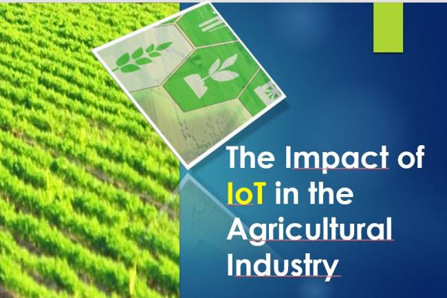 The impact of iOT in the agricultural industry