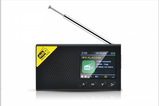 Portable Digital Radio Bluetooth 5.0 Stereo