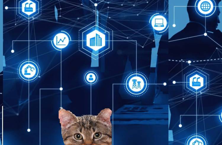 IoT(Internet of Things) Teknolojilerinin Hayvanlara Uygulanması