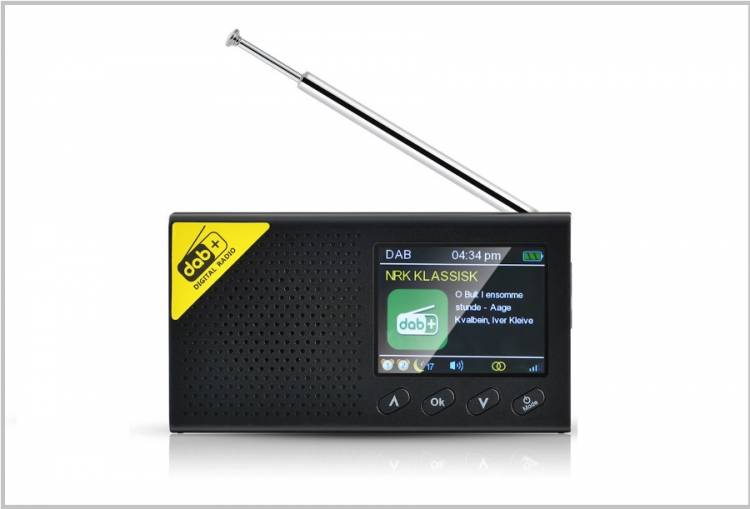 Taşınabilir Dijital Radyo Bluetooth 5.0 Stereo