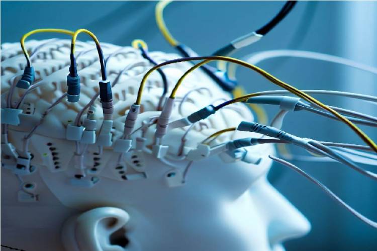 Elektroensefalografi (EEG): Beyin Aktivitesini Anlamak için Bir Bakış