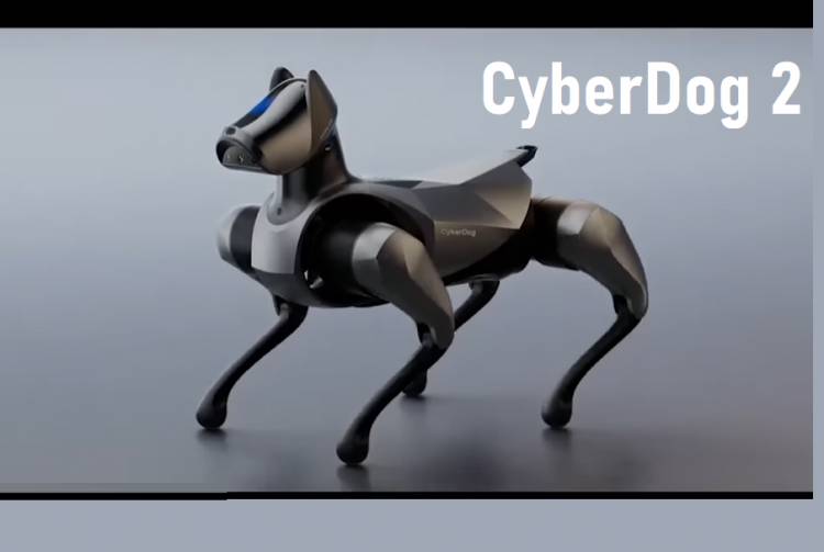 Xiaomi's Next Generation Robot Dog: CyberDog 2