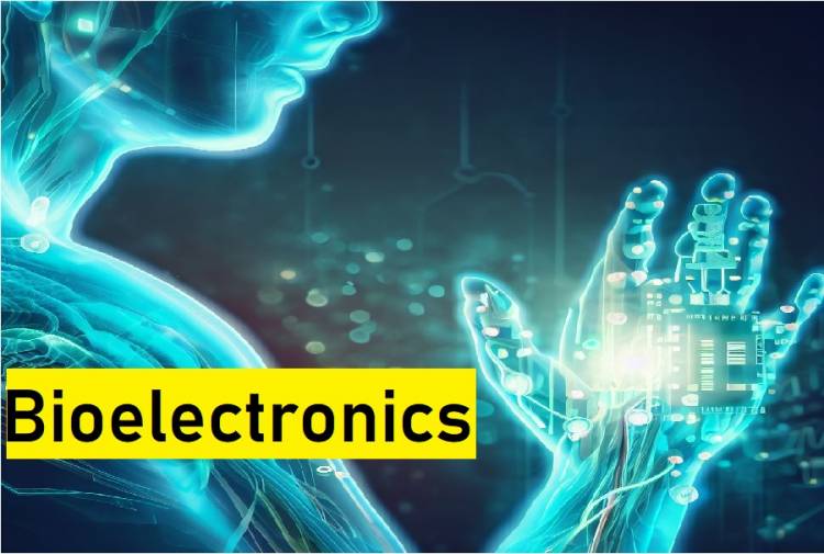 Bioelectronics: Biology and Electronics
