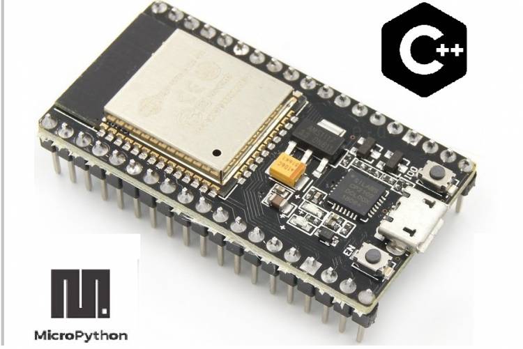 ESP32 Series Microcontrollers and Programming Aspects